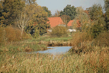 Borgfelder Wümmewiesen